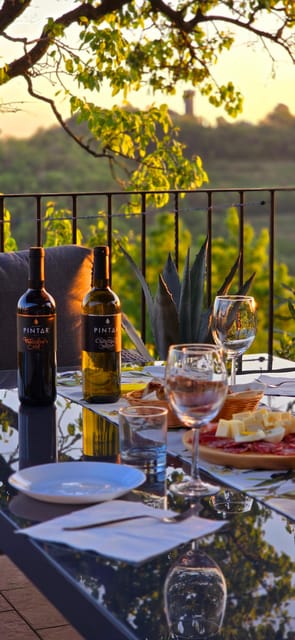 Goriška Brda: Wine Walk and Tasting - Is $47 a fair price?
