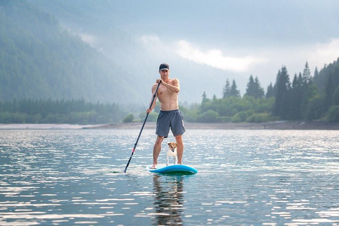 Half Day Stand-up Paddle Boarding (SUP) trip on Lake Predil - Families, children, and dogs on the water