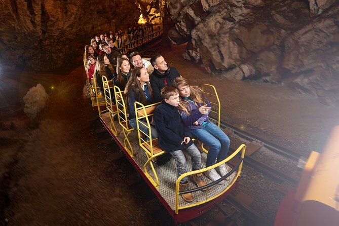 Half day tour to Postojna cave - Private tour from Koper - Who should book this Postojna outing?