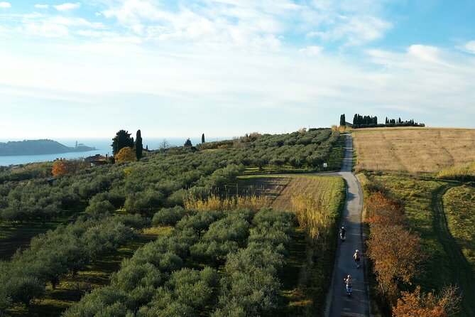 Half Day Vespa Countryside Tour and Tastings in Istria - Strunjan Nature Reserve and the return coast road