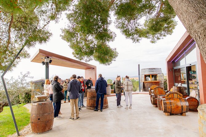 Hop & Taste Slovenian Riviera Hop-On Hop-Off & Local Bites - The main risk: bus schedules and group size