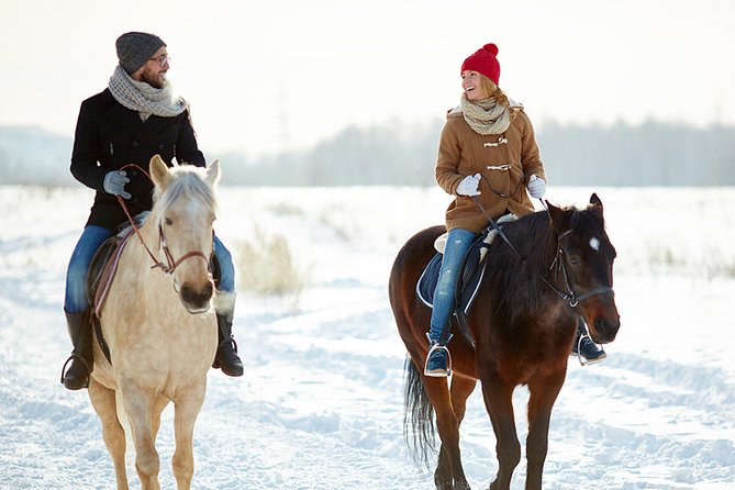 Horse Riding in Bled - Meeting at Mamut Slovenia in central Bled