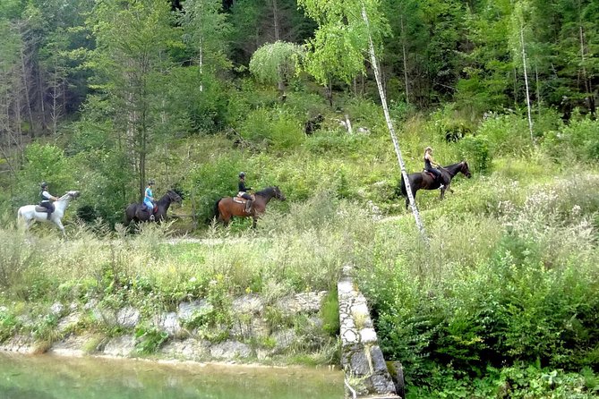Horse Riding in Bled - Getting fitted and learning the basics