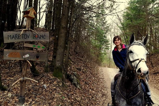 Horseback Riding In Bled - Key details before you saddle up