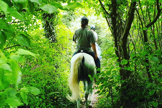 Horseback Riding In Bled - Is $132.16 a fair price?