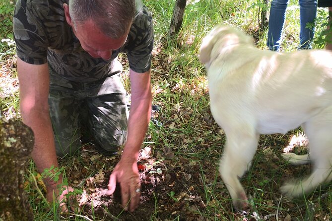 Istria - Truffles: Hunting & Cooking & Tasting, Slovenia - Small details that make the outing work