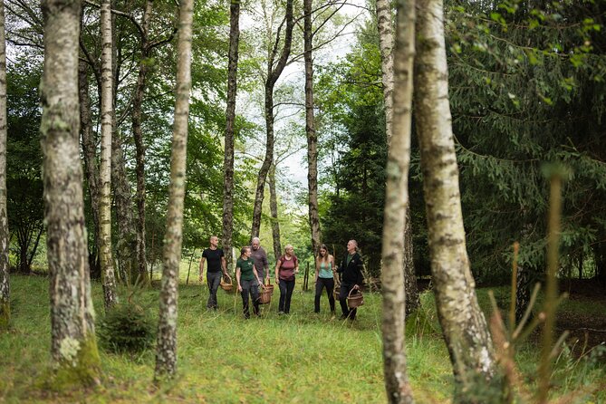 It Smells Like Mushrooms - Walking through the Bovec forest with a basket