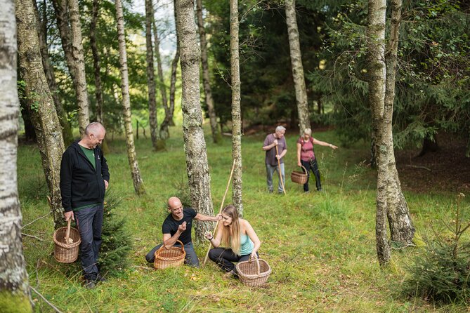 It Smells Like Mushrooms - Cooking and tasting a meal from the forest