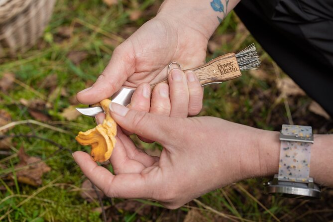 It Smells Like Mushrooms - Who will enjoy this Bovec experience most?