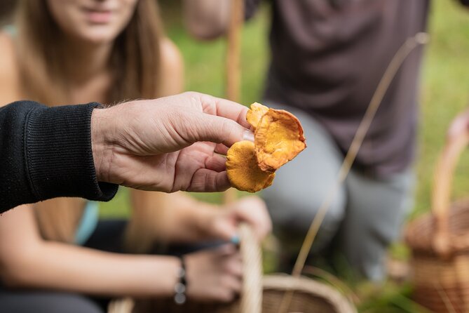 It Smells Like Mushrooms - Weather, cancellation, and useful planning notes