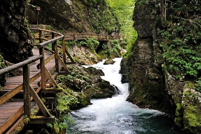 Lake Bled and Ljubljana Group Shore Experience from Koper - What the guides add to the day