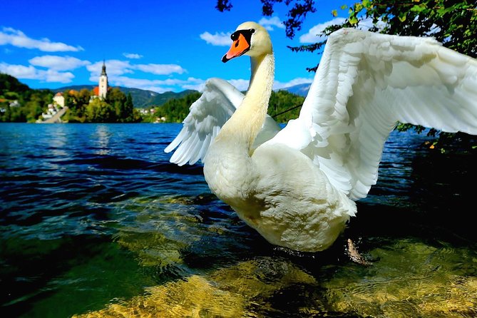 Lake Bled Half Day Excursion from Ljubljana - Crossing to the Island on a Pletna Boat