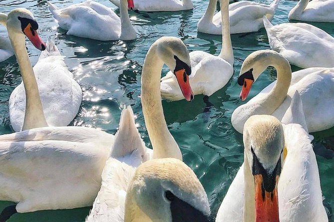 Lake Bled Tour from Ljubljana - The traditional boat ride to Bled Island