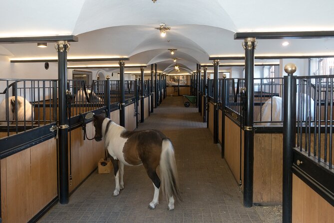 Lipica Stud Farm and Skocjan Caves from Koper - Pickup from Koper makes this practical for cruise visitors