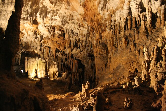 Lipica Stud Farm and Skocjan Caves from Koper - Practical details that improve the day