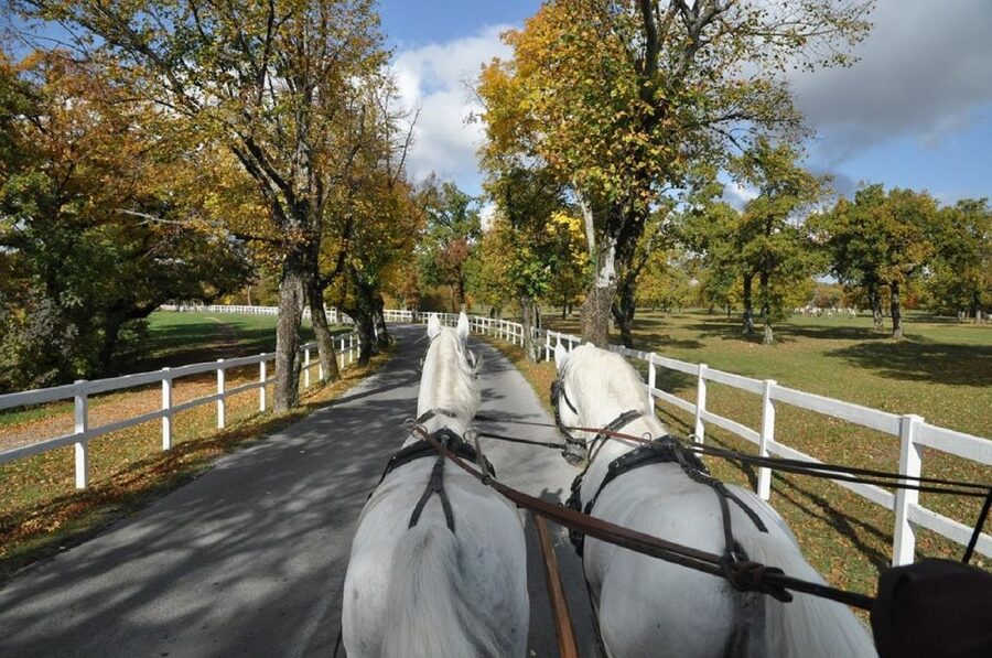 Lipica Stud Farm and Škocjan Caves from Trieste - The bridge, canyon, and exit view
