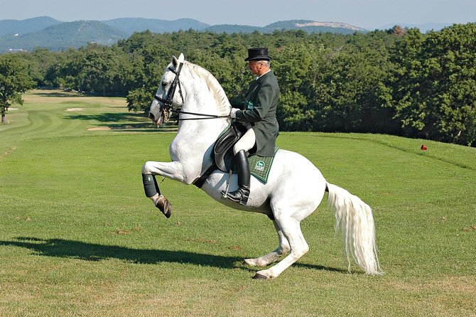 Lipica Stud Farm- Private Experience from Koper - What the $707.45 price really buys