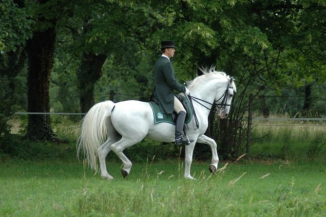 Lipica Stud Farm- Private Experience from Koper - Entering Lipica Stud Farm