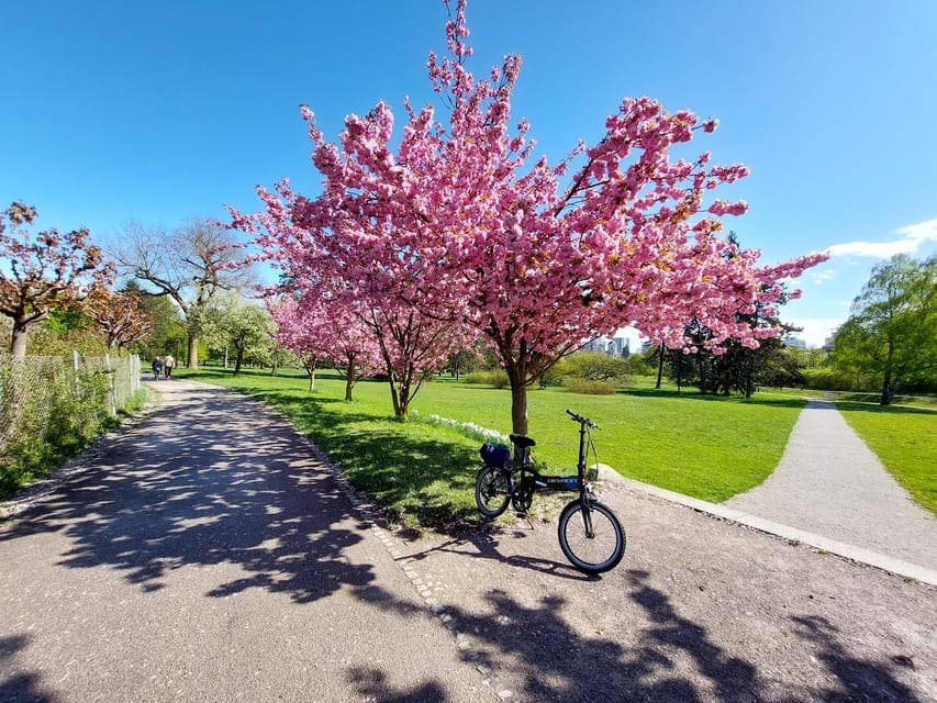 Ljubljana by E-Bike: Guided City Highlights Tour - Who will get the most from this tour