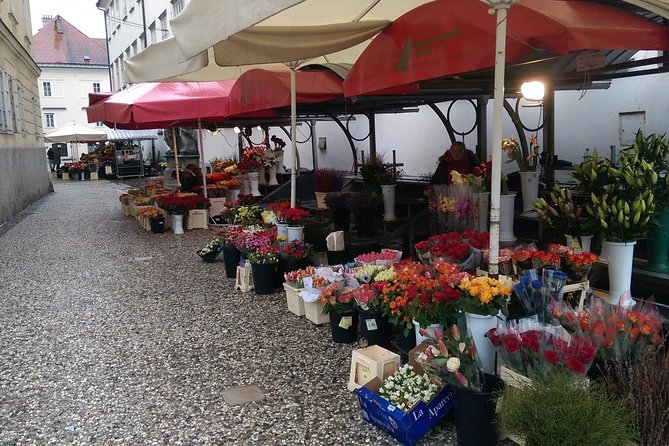 Ljubljana City Tour Including Ljubljana Castle - Dragon Bridge and the central market