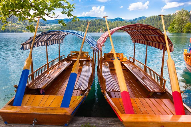 Ljubljana: Lake Bled Experience small group half-day tour - Who should book this Bled tour?