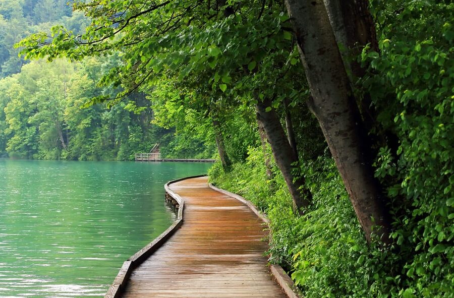 Ljubljana: Lake Bled, Postojna Cave, and Predjama Day Tour - Lake Bled and the traditional pletna boat