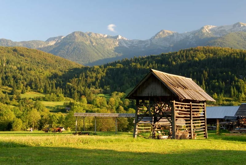 Ljubljana: Lake Bled & Triglav National Park Full-Day Trip - Who should book this Alpine day?