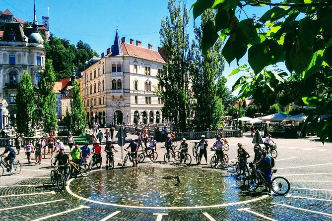 Ljubljana MTB Capital tour (e-bike enduro/all mountain) - Two hours on the Golovec trail network
