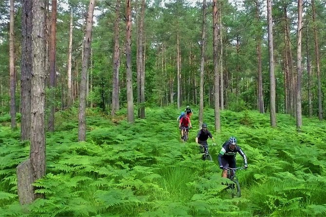 Ljubljana MTB Capital tour (e-bike enduro/all mountain) - A local guide helps you use the time well