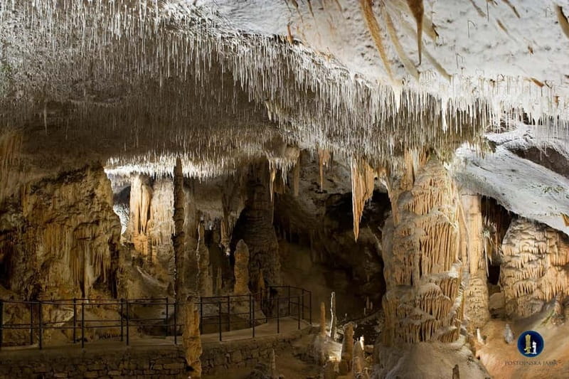 Ljubljana: Postojna Cave and Predjama Castle Tour - What the cave visit feels like in practice