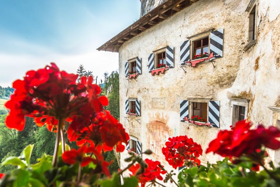 Ljubljana: Postojna Cave & Predjama Castle Tickets and Tour - FAQ