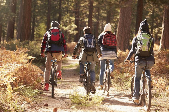 Ljubljana's Marshes Cycling Tour - Why the flat route works for first-time riders