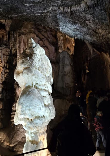 Ljubljana to Postojna Cave,Predjama Castle and Postojna park - Key points to know before booking