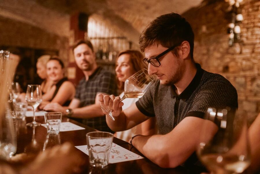 Ljubljana: Wine Tasting Experience with Appetizers - Appetizers make the $62 price easier to judge