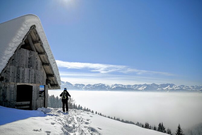 Magical Snowshoeing in Bohinj valley - Pokljuka plateau or Bohinj Valley