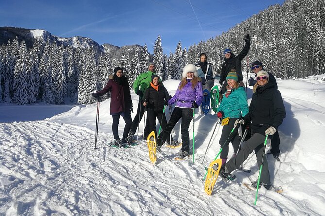 Magical Snowshoeing in Bohinj valley - What the three-hour hike feels like