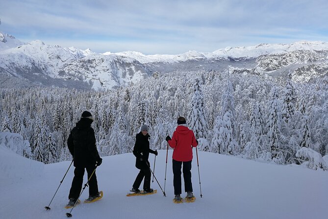 Magical Snowshoeing in Bohinj valley - A small group makes the instruction more useful