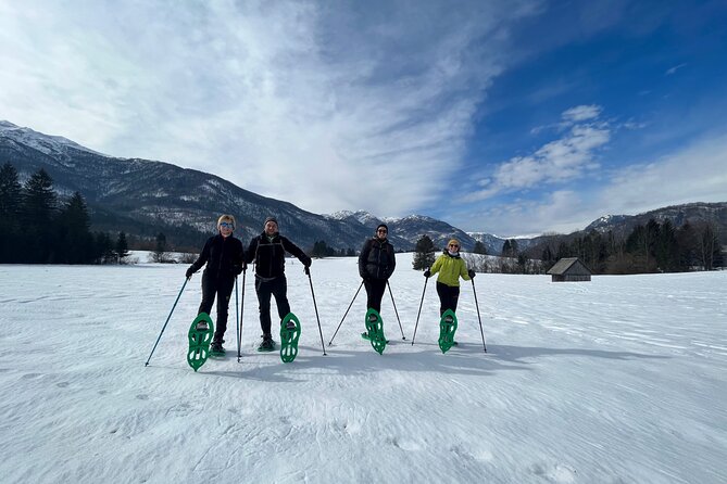 Magical Snowshoeing in Bohinj valley - Is $120 a fair price?