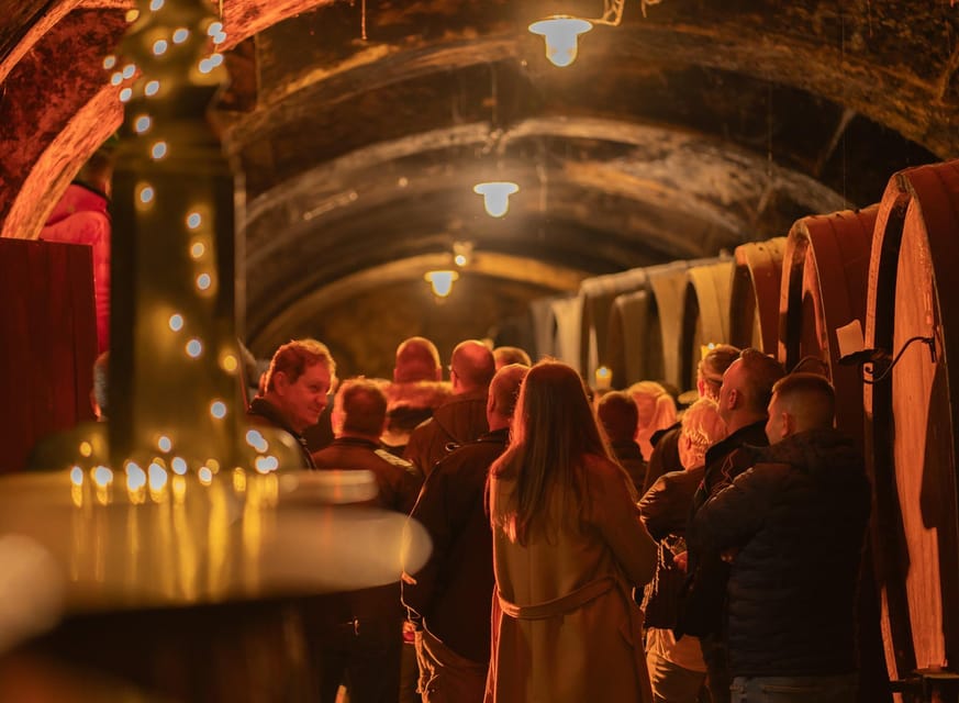 Maribor: Vinag Wine Cellar Tour with Wine tasting and snacks - What the 45-minute guided tour adds