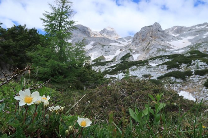 Mighty Mount Triglav Climb-summer Special-join Group - Who should book this climb