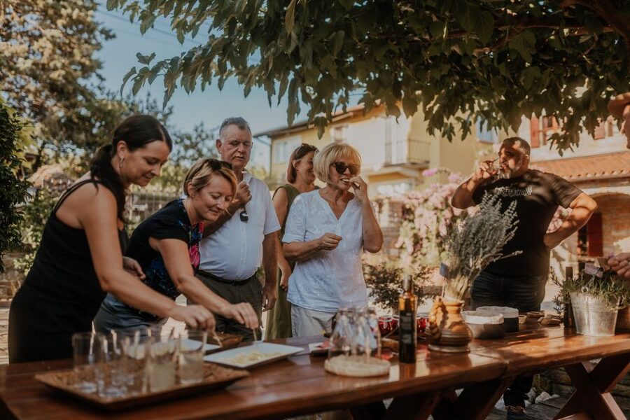 Olive Oil Tasting a Journey of Flavors and Aromas - The Marezige setting and the RedFairytale farm