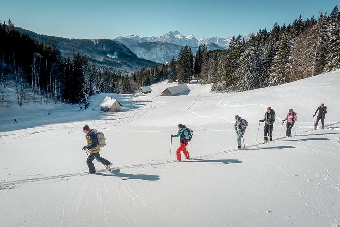 One Day Ski Touring Workshop - Snowpack checks and avalanche rescue