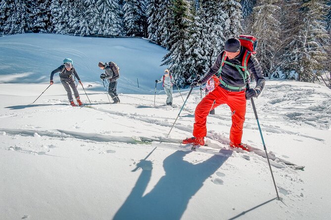 One Day Ski Touring Workshop - What the $366.71 price includes