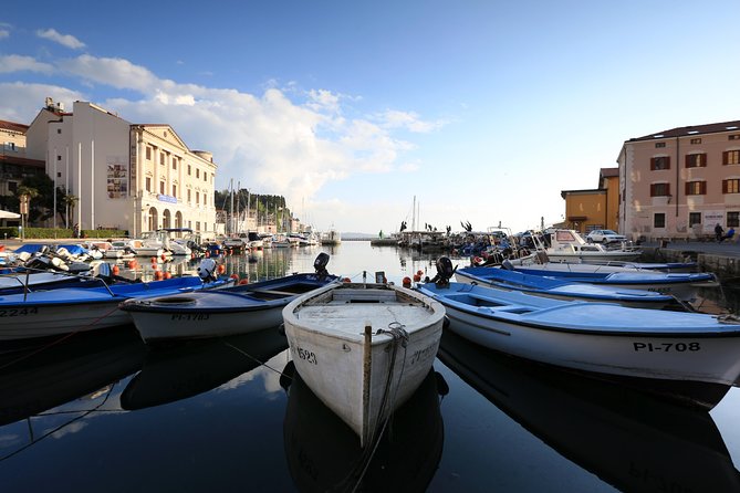 Panoramic Piran and Salt Pans: E-Bike Boutique Tour - Why an e-bike is the right tool for this coast