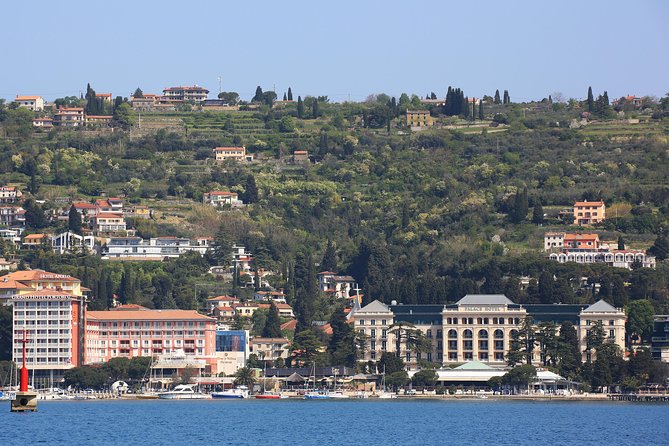 Panoramic Piran and Salt Pans: E-Bike Boutique Tour - The hill above Portorož gives you the big picture