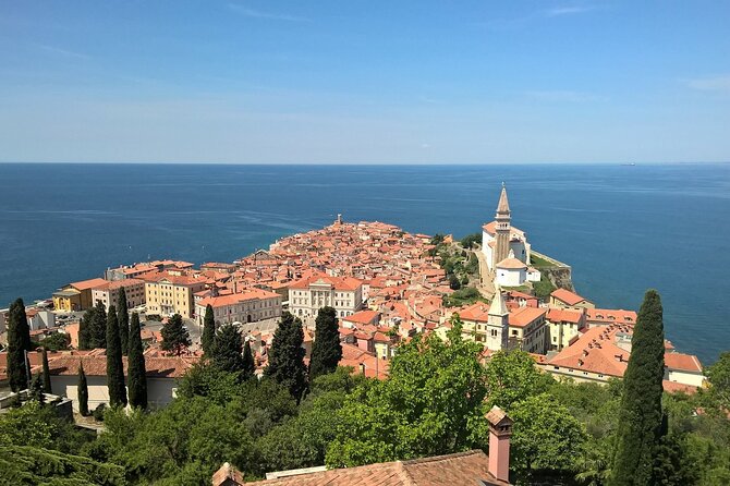 Piran and Portoroz Pearls of the Slovenian Adriatic Coast Half Day Trip from Ljubljana - What the guide adds to the experience