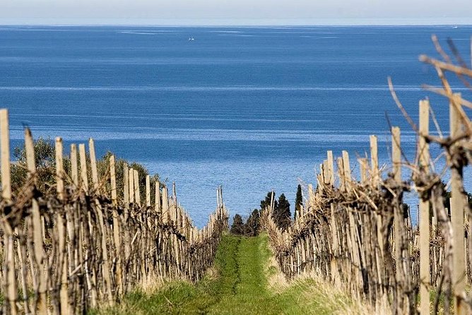 Piran and Scenic Slovenian Coast-Private Experience from Koper - Strunjan brings salt fields and open views