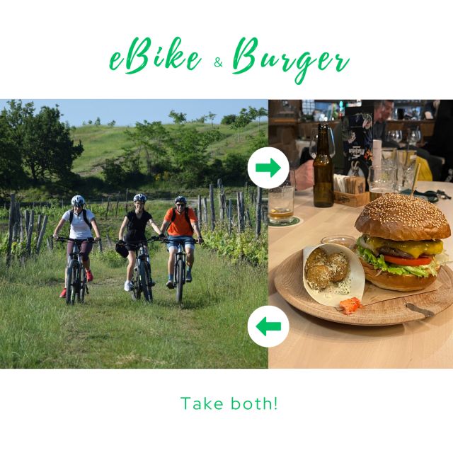 Piran: e-bike&snack in Istria - Coastal views, villages, and vineyard roads