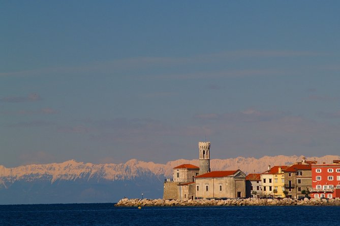 Piran & Flavors of Slovenian Istria - Korte and the private cellar tasting