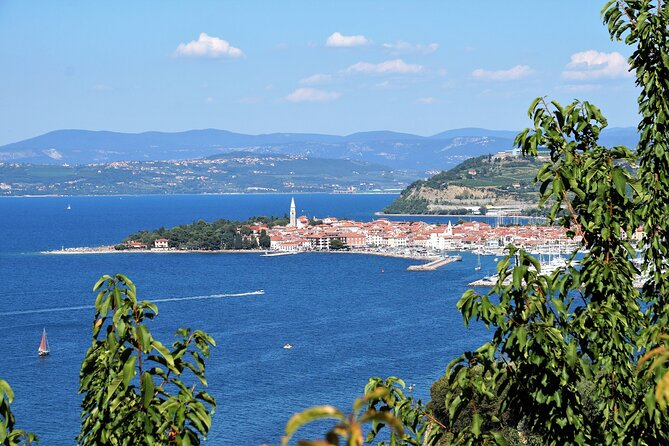 Piran & Panoramic Slovenian Coast - Small Group Tour from Koper - A moving coastal view through Izola